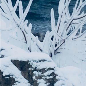 Meet your Posher, Lynda